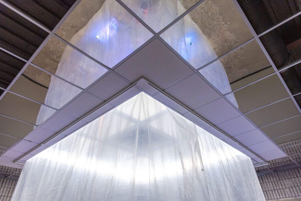 image for dsc_4527-2000x1335 (1)