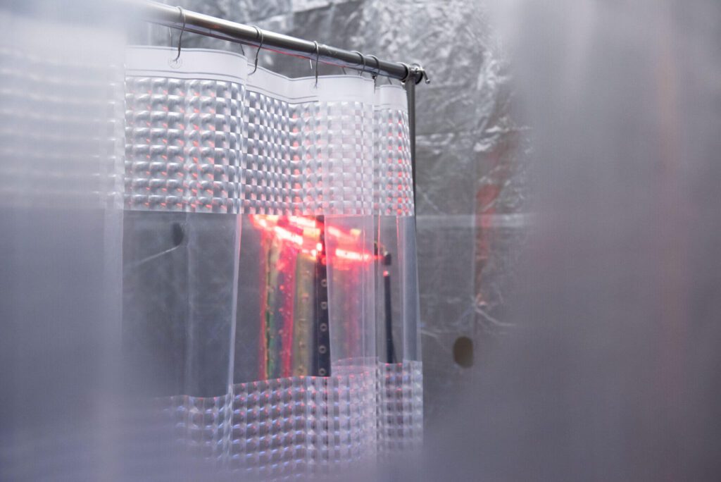 image for dsc_4684-2000x1335 (1)