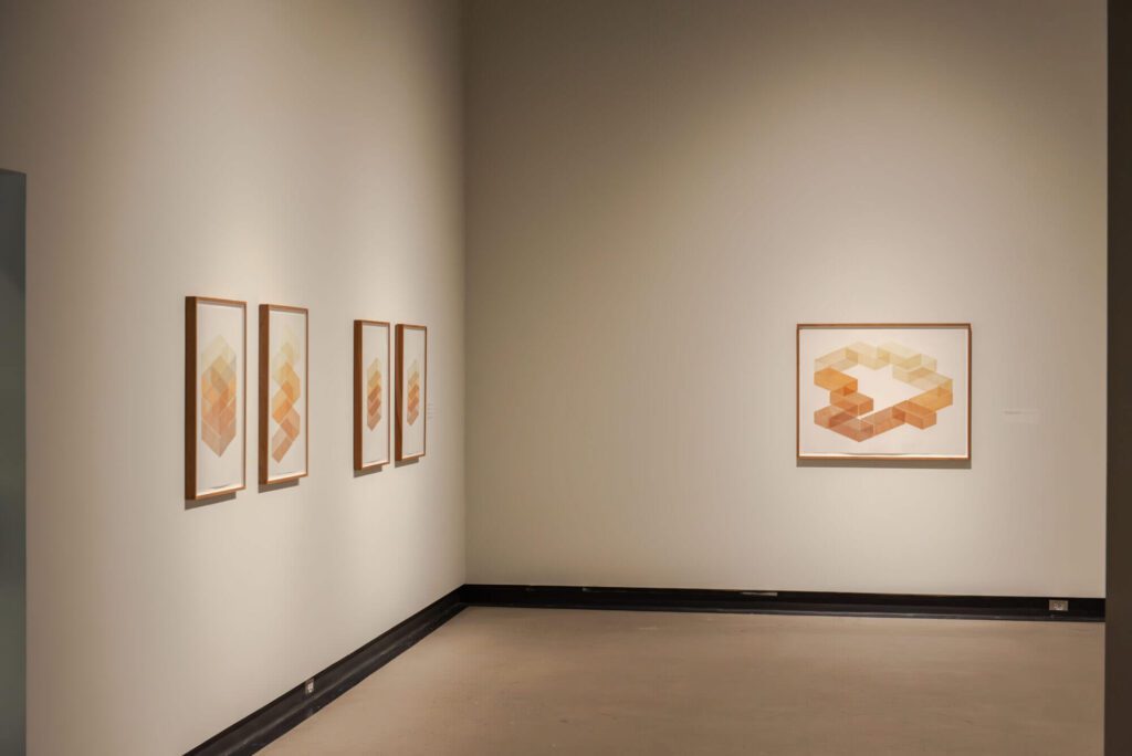 image for dsc_4837-enhanced-nr-2000x1335