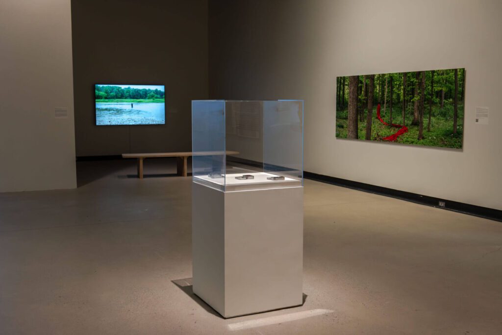 image for dsc_4853-enhanced-nr-2000x1335