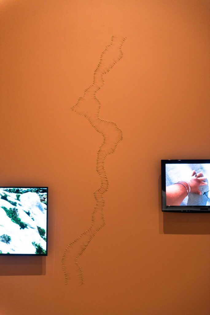 image for roya-delsol_we-who-have-known-many-shores_202405_9-6-2000x2996 (1)