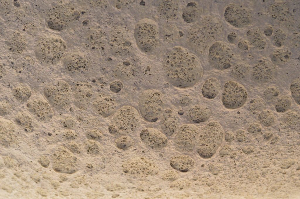 image for Community Generator_35