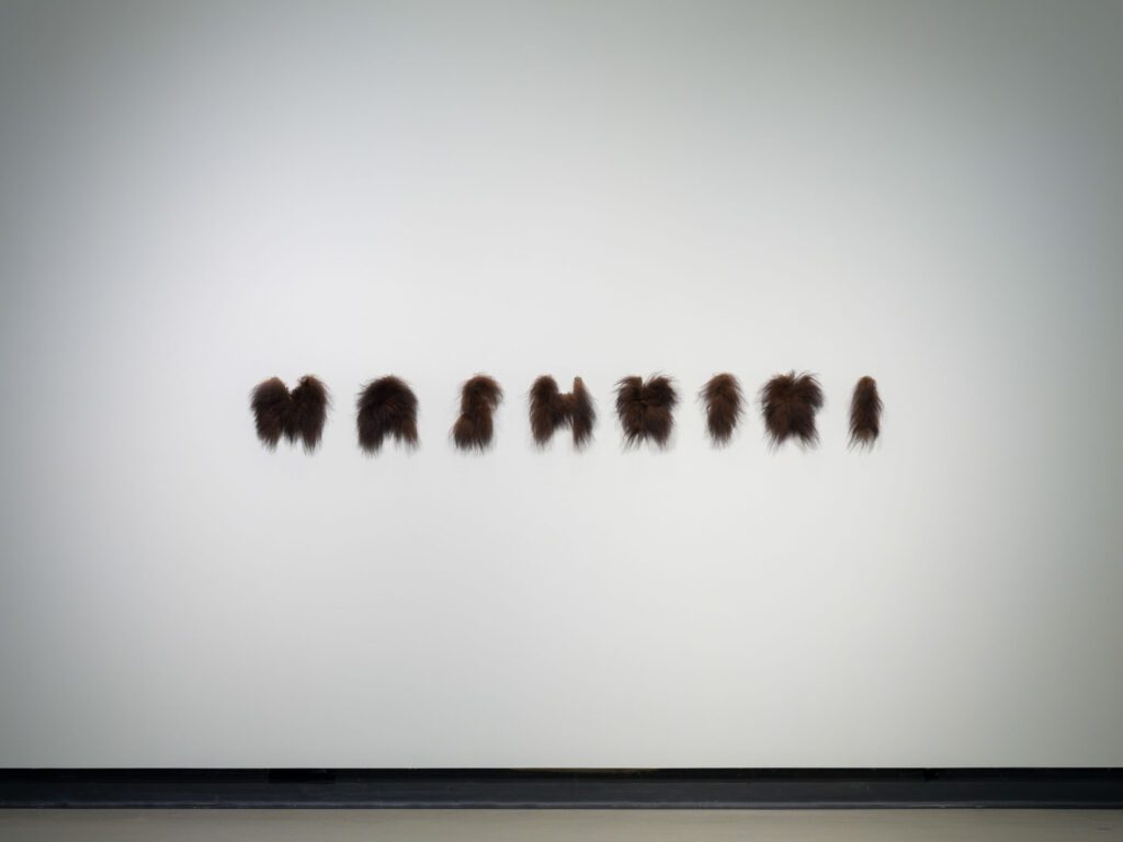 Image for Wiigwasitig, Art Gallery of Burlington. 2026. Photo Credit Darren Rigo 19