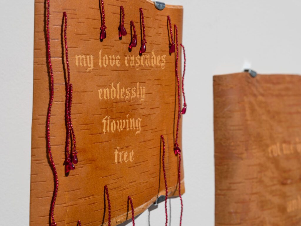 Image for Wiigwasitig, Art Gallery of Burlington. 2026. Photo Credit Darren Rigo 23