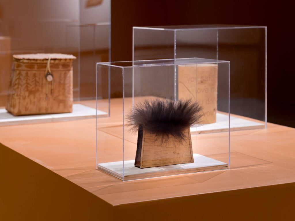 Image for Wiigwasitig, Art Gallery of Burlington. 2026. Photo Credit Darren Rigo 33