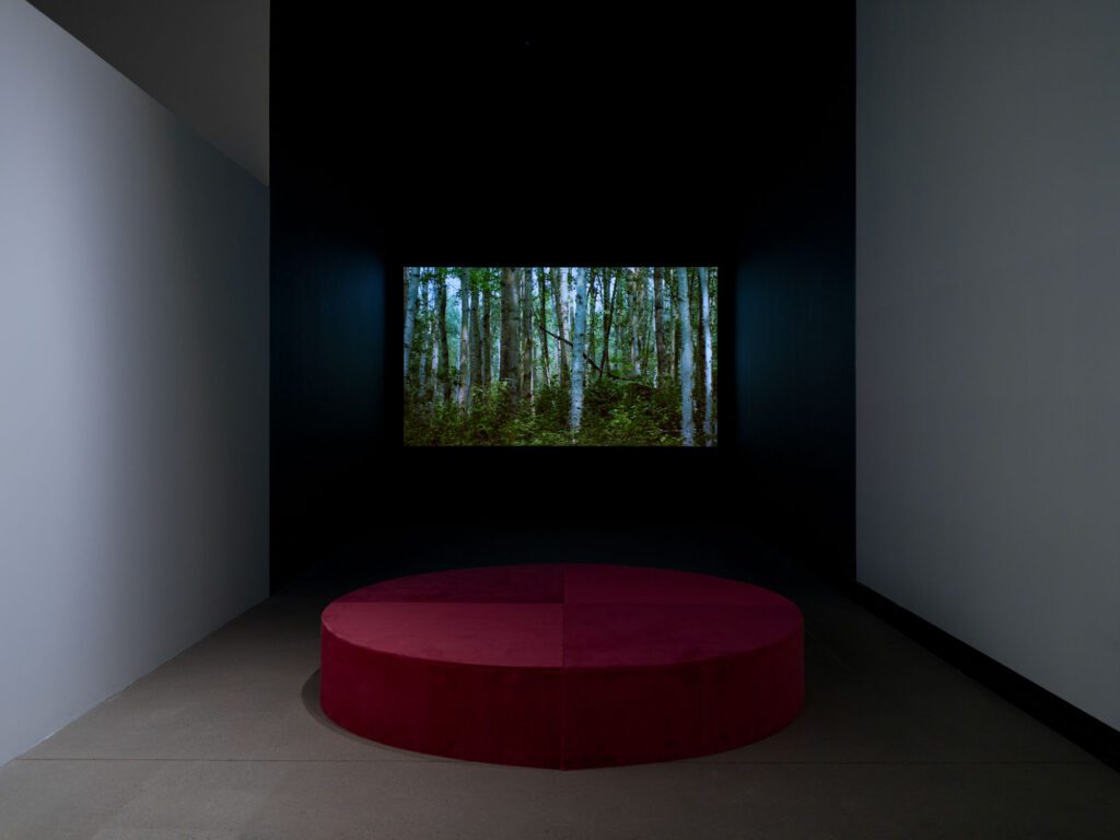 Image for Wiigwasitig, Art Gallery of Burlington. 2026. Photo Credit Darren Rigo 9