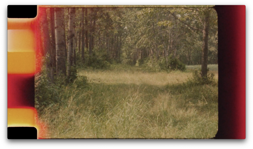 image for êpêkiyokêyân (coming to visit) Kiona Callihoo Ligtvoet. 2025. and Seth Arcand,